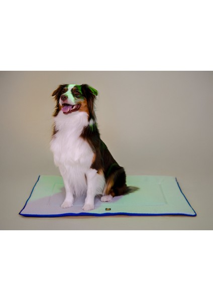 Travel Bed Marine Blue fırsatları