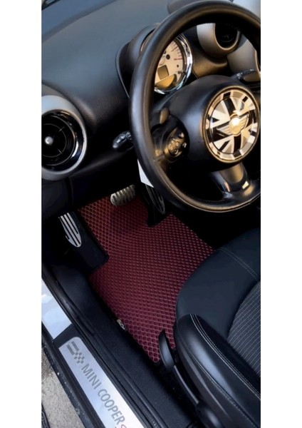 Mini Cooper Countryman Uyumlu Akıllı Paspas Araca Özel Oto Paspas Araba Paspas