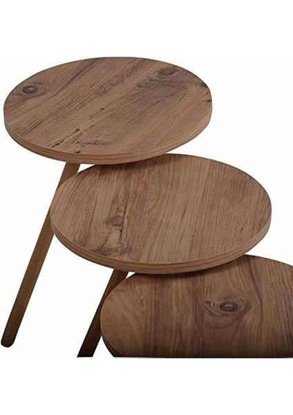 Renkli Üçlü Zigon Sehpa Ahşap Ayaklı Yuvarlak Pastel Tasarım Cappuccino fiyatları