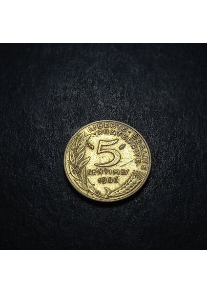 3996368F417AF8ADE2 1986 Fransa 5 Cetimes Çt Eski Yabancı Madeni Para modelleri