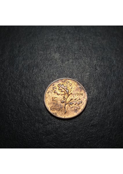 3996368F3FB375D989 1974 5 Kuruş Eski Madeni Para fiyatları
