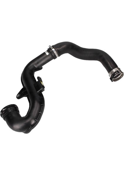 Mtxdpn x Turbo Hortumu Talisman 1.6dci