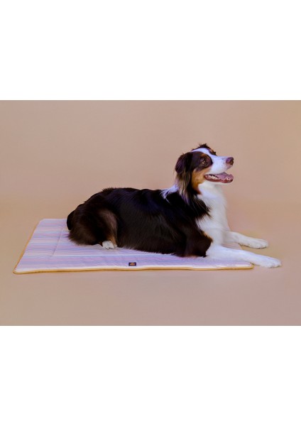 Travel Bed - Sunshine Yellow modelleri