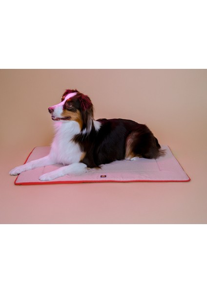 Travel Bed Coral Red modelleri