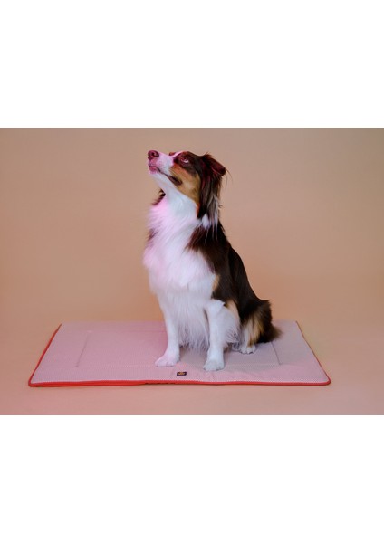 Travel Bed Coral Red fırsatları