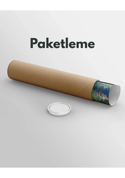 Kadın Yüz Dijital Baskı Poster (Çerçevesiz)