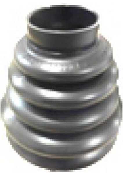 Mtxdpn Aks Körüğü Diş Sağ Focus Iii 12