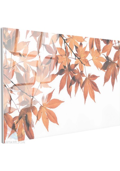 Cam Yatay Duvar Tablosu Cam Sonbahar Yapraklari2 Ev Ofis Salon Modern Duvar Tablosu fiyatları