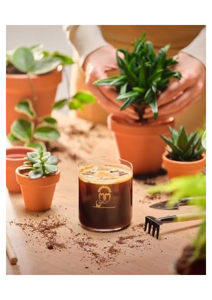 Kurukahveci Mehmet Efendi Caffe Espresso 1000 gr Çekirdek Roasted Blend No 3