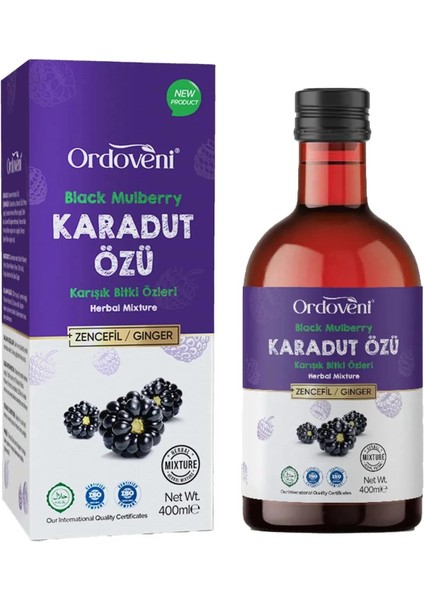Ordoveni Karadut Özü | Zencefil Ekstaraktlı (400GR)