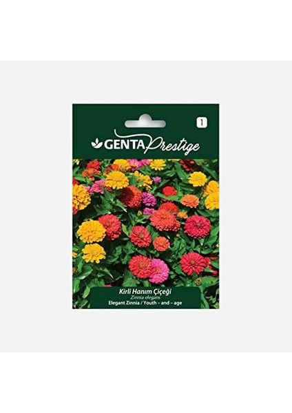 Genta Prestige Kirli Hanım Çiçeği Tohumu