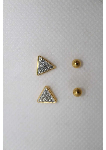 316L Paslanmaz Çelik Üçgen Kadın Küpe Seti fiyatları