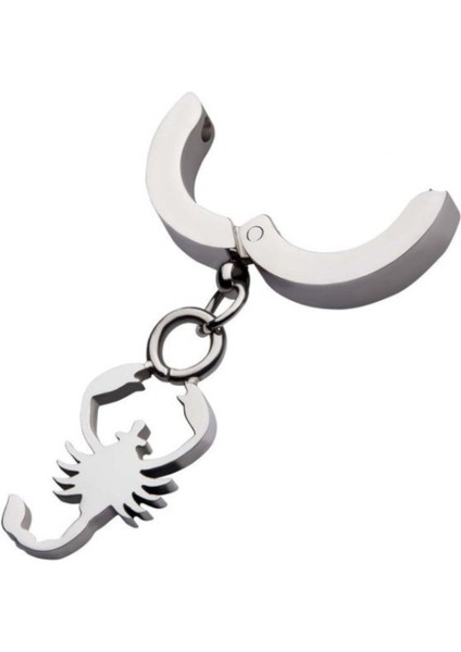 Sıkıştırmalı Deliksiz Akrep Model Sallantılı Erkek Çelik Küpe 1 Adet fiyatları