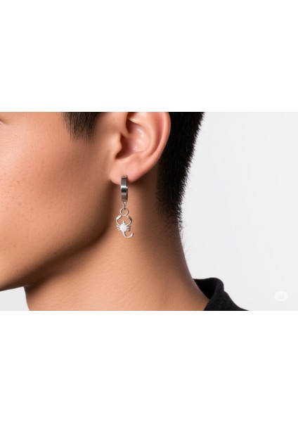 Sıkıştırmalı Deliksiz Akrep Model Sallantılı Erkek Çelik Küpe 1 Adet indirimleri