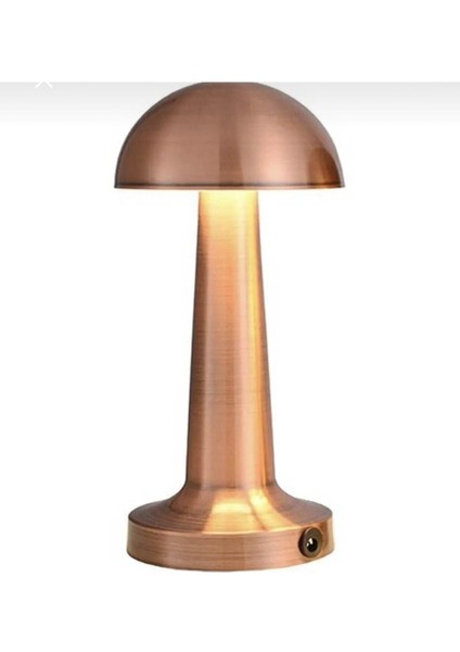 Masa Lambası CT-8430 Tek Anahtarla 3 Renk 61196