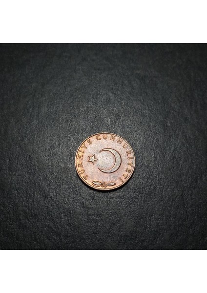 3996368F41E078EDA1 1973 Ççt+ 5 Kuruş Eski Madeni Para modelleri