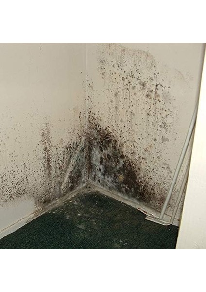 Flora Nem Alıcı 450 G 5'li Paket modelleri