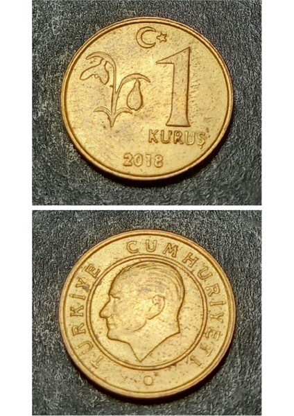 3996368F41D7E87D8F 2018 1 Kuruş Ççt+ Eski Madeni Para