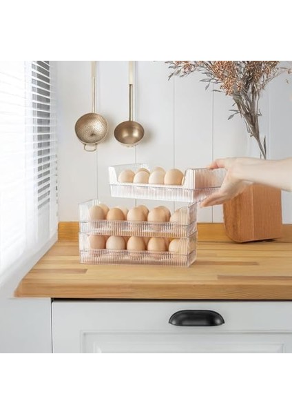 10'lu Yumurtalık Buzdolabı Raf Düzenleyici - Şeffaf Yumurta Kutusu, Bpa Içermez, Buzdolabı ve Masa Üstü Için Kompakt Yumurta Saklama Kabı modelleri