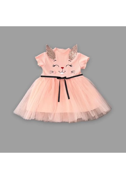 1-2-3 Yaş Payetli Kulak Tavşan Baskılı Kız Bebek Elbisesi Pudra