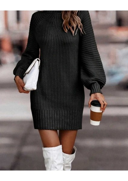 Kadın Uzun Kollu Balıkçı Yaka Mini Triko Elbise fiyatları