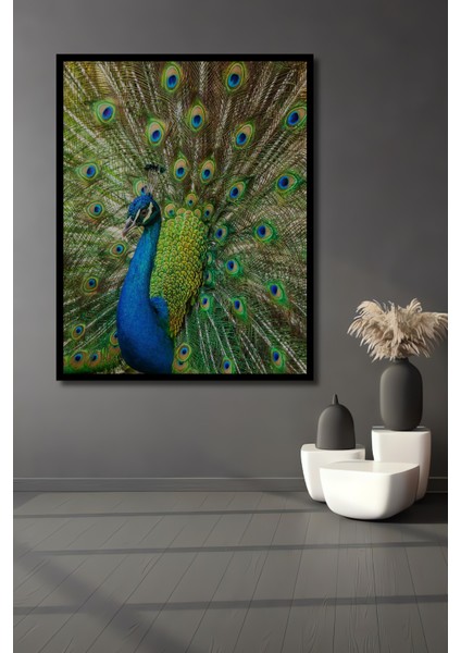 Çerçeve Görünümlü Muhteşem Tavus Kuşu Dekoratif Ahşap Mdf Ev Duvar Tablo Dikdörtgen Ev Duvar Tablo
