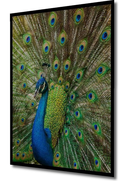 Çerçeve Görünümlü Muhteşem Tavus Kuşu Dekoratif Ahşap Mdf Ev Duvar Tablo Dikdörtgen Ev Duvar Tablo fiyatları