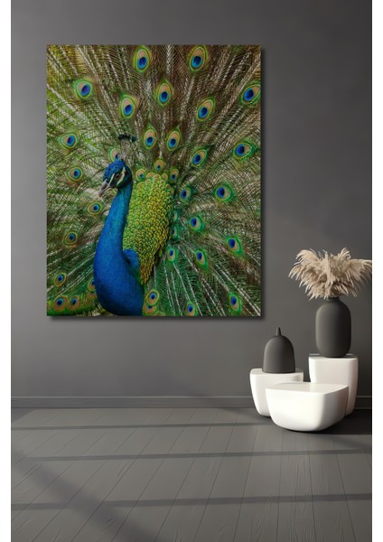 Muhteşem Tavus Kuşu Dekoratif Ahşap Mdf Ev/işyeri Duvar Tablo Dikdörtgen Ev/işyeri Duvar Tablo