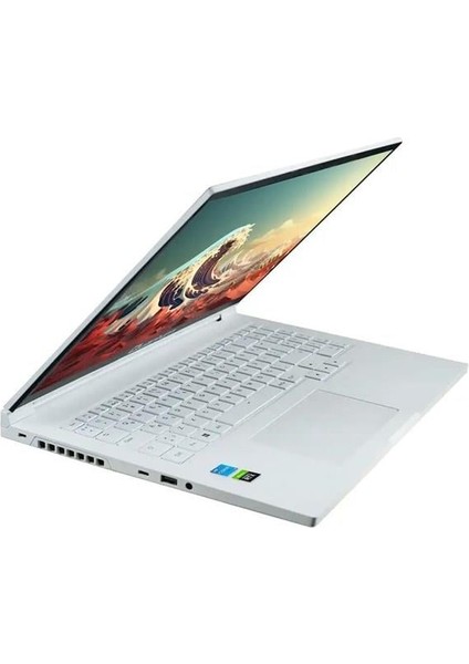 16" Whıtefang G4010 Ryzen 7 8745HS- (Ram Disk Yok) 8gb RTX4060 Fdos (1920 x 1200) Beyaz indirimleri