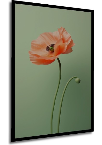 Çerçeve Görünümlü Büyüleyici Gelincik Çiçeği Ahşap Mdf Dekoratif Tablo Dikdörtgen Tablo modelleri