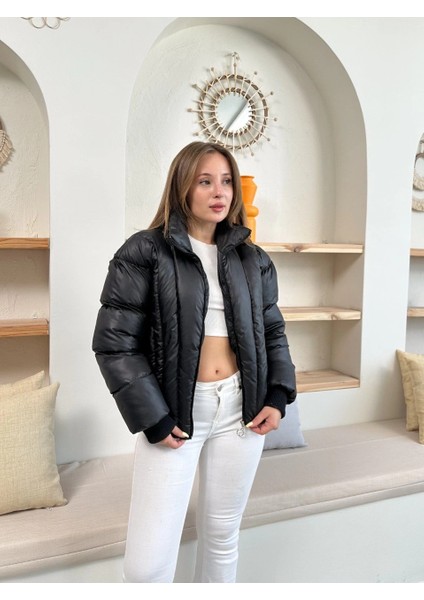 Puffer Kısa Mont Siyah ST25534