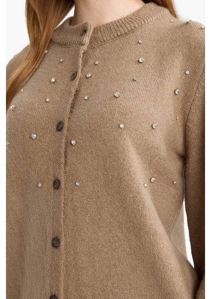 Regular Fit Bisiklet Yaka Düğmeli Taşlı Triko Hırka E9149AX25WN fırsatları