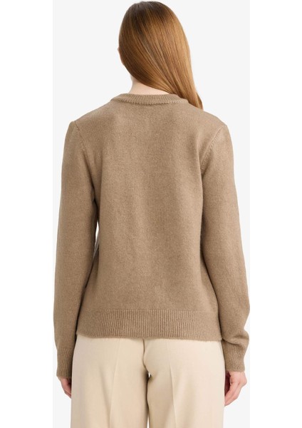 Regular Fit Bisiklet Yaka Düğmeli Taşlı Triko Hırka E9149AX25WN indirimleri