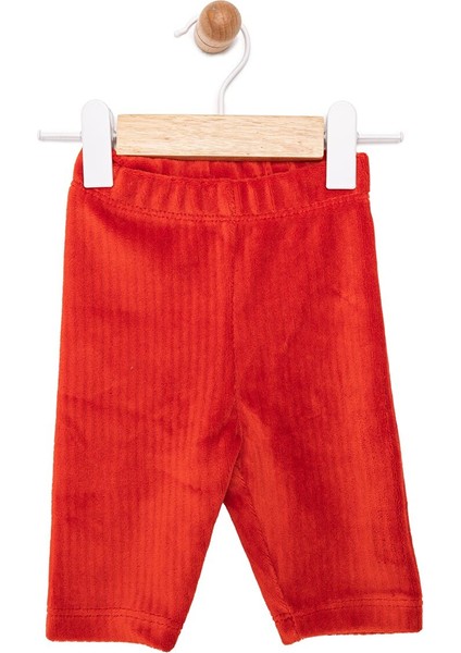 Krenn Kız Bebek Basic Tayt Kadife Reçme Paça Kırmızı