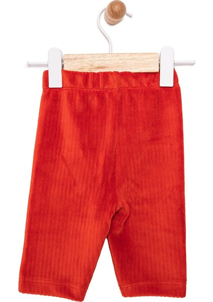 Krenn Kız Bebek Basic Tayt Kadife Reçme Paça Kırmızı fiyatları