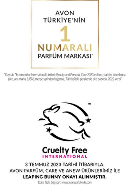 Perceive Kadın Parfüm ve Vücut Losyonu Seti 50 ml EDP Hediye Paketi Şık Tasarım