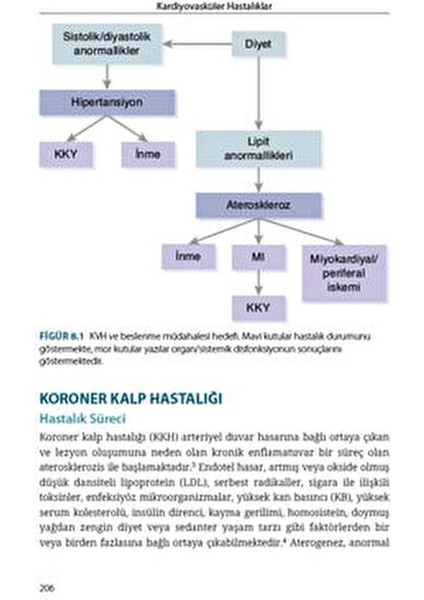 Klinik Beslenme İçin Temel Cep Kitabı Mary Width ve Toina Reinhard 2021