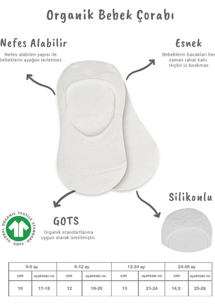 Bistyle 2'li Penye Babet Silikonlu Basic Çorap 30104 Ekru Ekru fiyatları