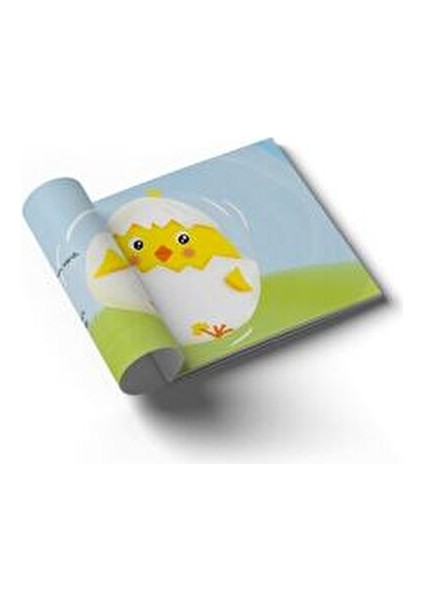 Sabırsız Civciv - Feyzanur Ak Güney 20 Sayfa Ciltsiz Kitap 3-6 Yaş Aralığına Uygun fırsatları