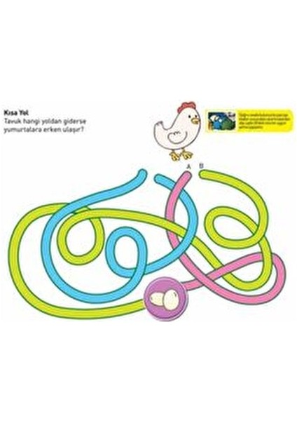 Dikkati Güçlendirme Seti 6 Yaş Osman Abalı Eğitici Kitap 150 Sayfa