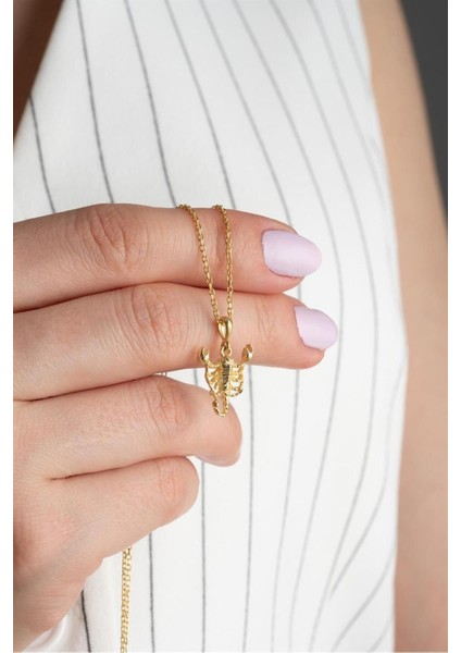 925 Ayar Gold Akrep Gümüş Kolye fiyatları