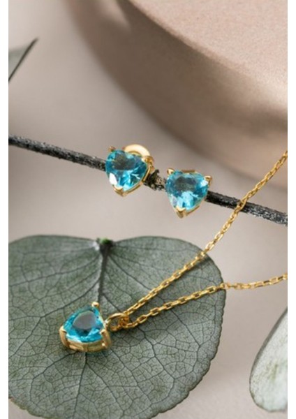 925 Ayar Gümüş Aylara Göre Kalpli Doğum Taşı Kolye - Küpe Seti