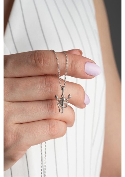 925 Ayar Akrep Gümüş Kolye fiyatları