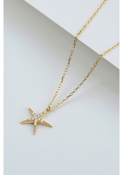 925 Ayar Gümüş Deniz Yıldızı Kolye