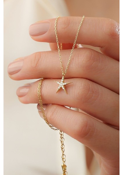 925 Ayar Gümüş Deniz Yıldızı Kolye fiyatları