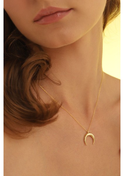 925 Ayar Ters Hilal Gümüş Kolye modelleri