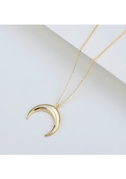 925 Ayar Ters Hilal Gümüş Kolye fırsatları