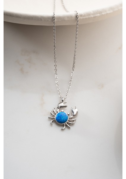 925 Ayar Gümüş Yengeç Kolye indirimleri