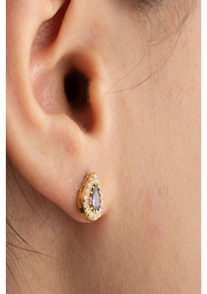 925 Ayar Gümüş Şubat Ayı Doğum Taşı ( Ametist ) Kolye - Küpe Seti