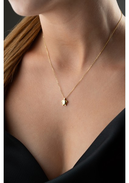 925 Ayar Gümüş Kaplumbağa Kolye